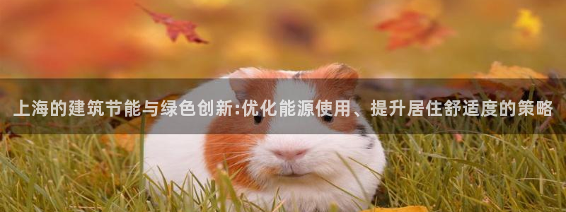 e尊平台：上海的建筑节能与绿色创新:优化能源使用、提升居住舒适度的策略
