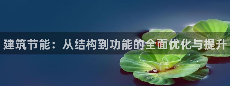 e尊国际的手机登录网站：建筑节能：从结构到功能的全面优化与提升