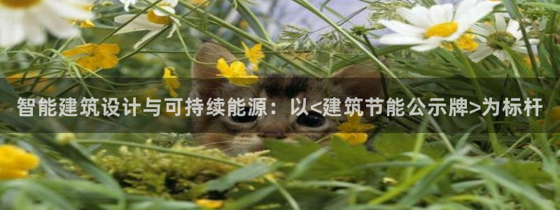 e尊体育：智能建筑设计与可持续能源：以<建筑节能公示牌>为标杆