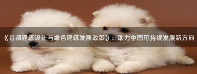 尊亿游戏国际官网：《首都建筑设计与绿色建筑发展政策》：助力中国可持续发展新方向