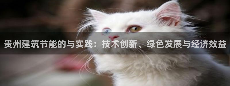 e尊国际娱乐官网下载：贵州建筑节能的与实践：技术创新、绿色发展与经济效益