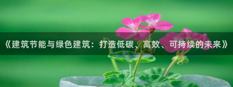 E尊国际：《建筑节能与绿色建筑：打造低碳、高效、可持续的未来》