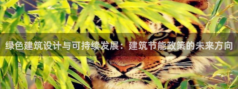 e尊国际7779：绿色建筑设计与可持续发展：建筑节能政策的未来方向