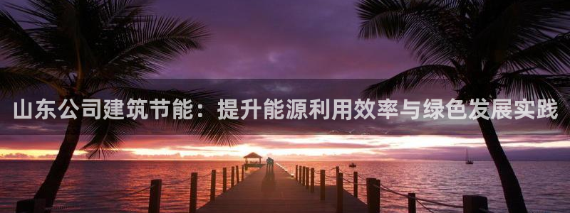 e尊国际官网app：山东公司建筑节能：提升能源利用效率与绿色发展实践