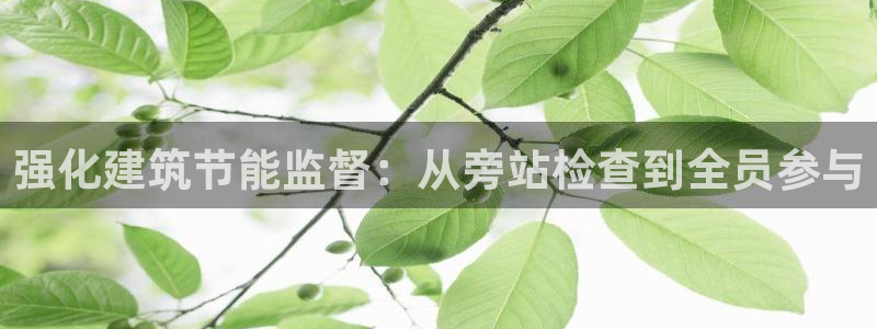 E尊国际网站
