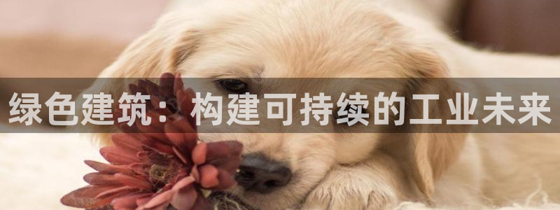 E尊国际：绿色建筑：构建可持续的工业未来