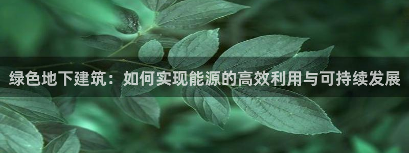 e尊国际地址