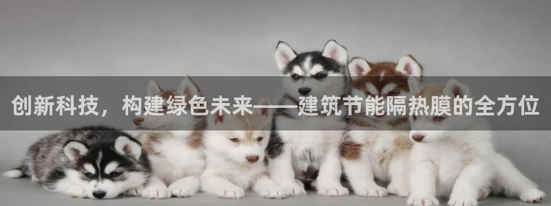 e尊国际官网：创新科技，构建绿色未来——建筑节能隔热膜的全方位