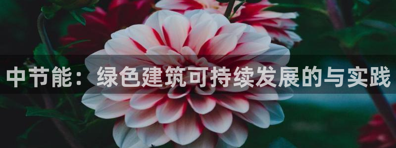 e尊国际官网app