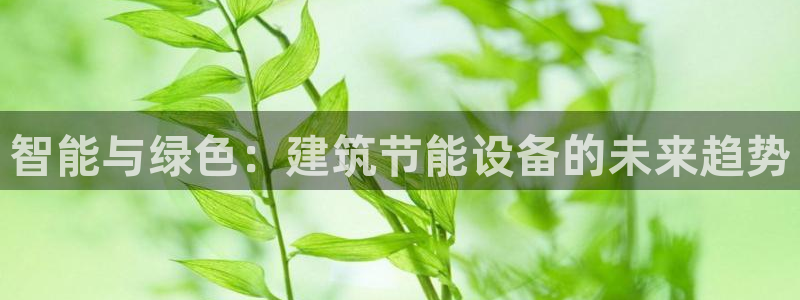 谁知道e尊国际的网址