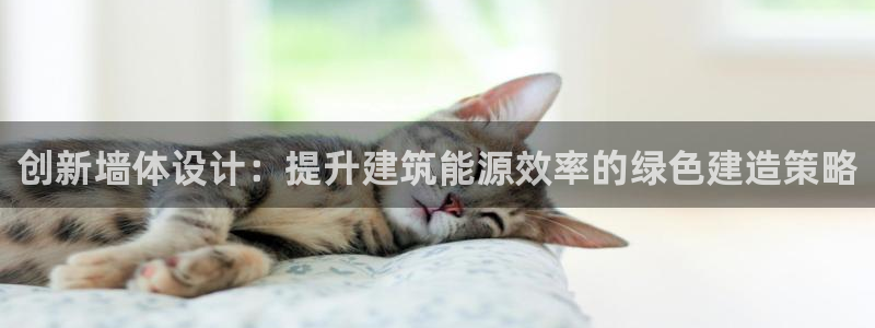 e尊平台：创新墙体设计：提升建筑能源效率的绿色建造策略