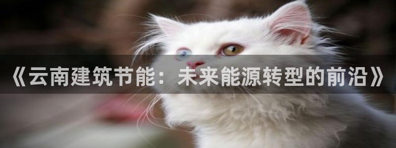 e尊国际客服