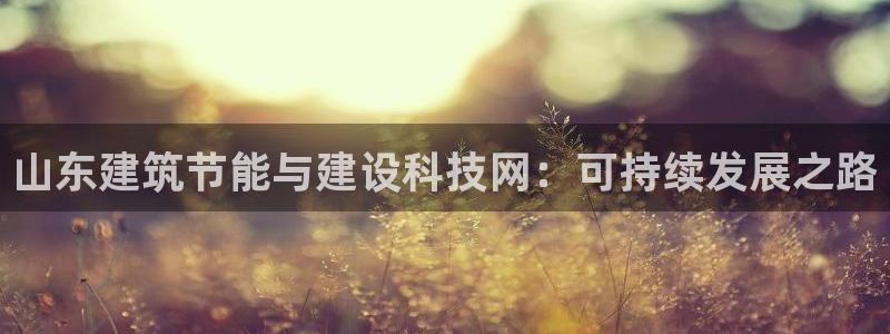 e尊国际-可可计划